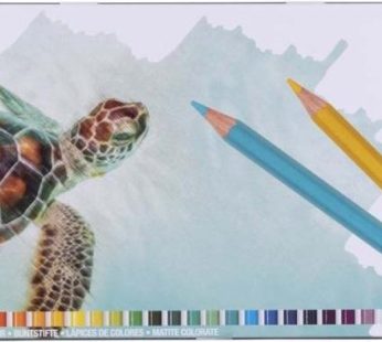 Bruynzeel Colouring Pencils – Turtle Set (Tin of 45)