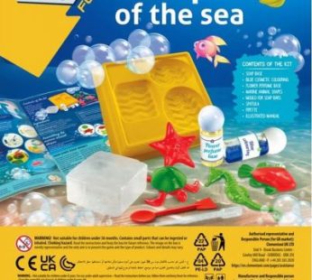Science & Play: Fun Sea Soaps